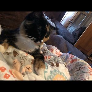 Meet your Posher, Kayle